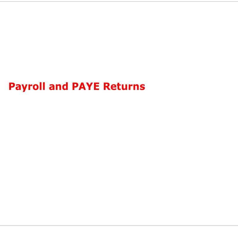 Payroll and PAYE Returns