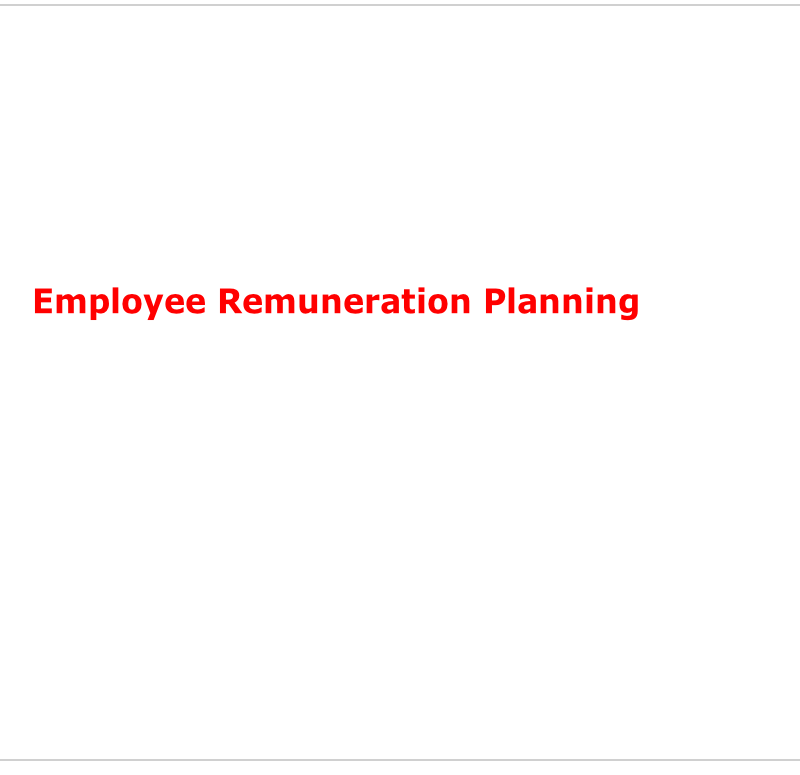 Employee Remuneration Planning